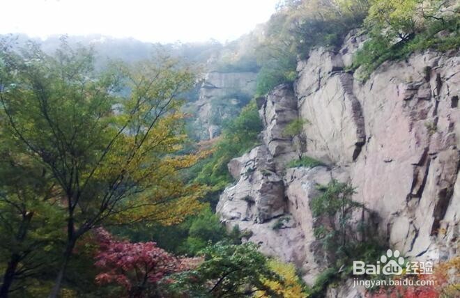 旅游风景各种调色1