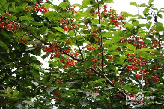 郑州旅游攻略 二