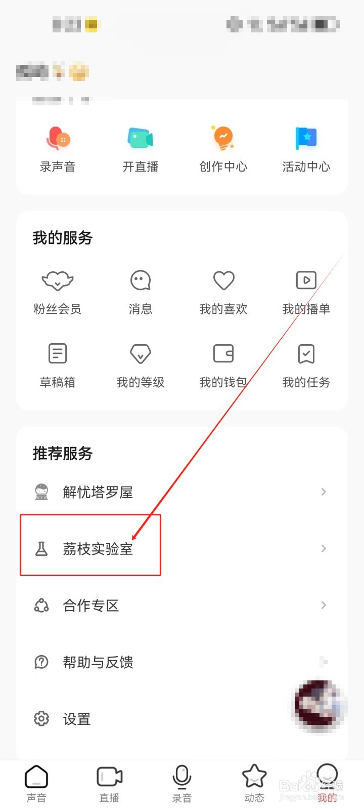 荔枝查看《荔枝实验室》服务的方法