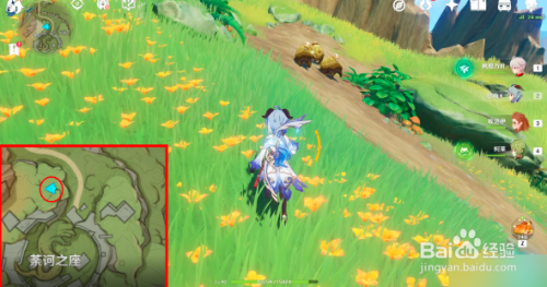 原神与珍稀之鸟类的短暂邂逅任务达成攻略