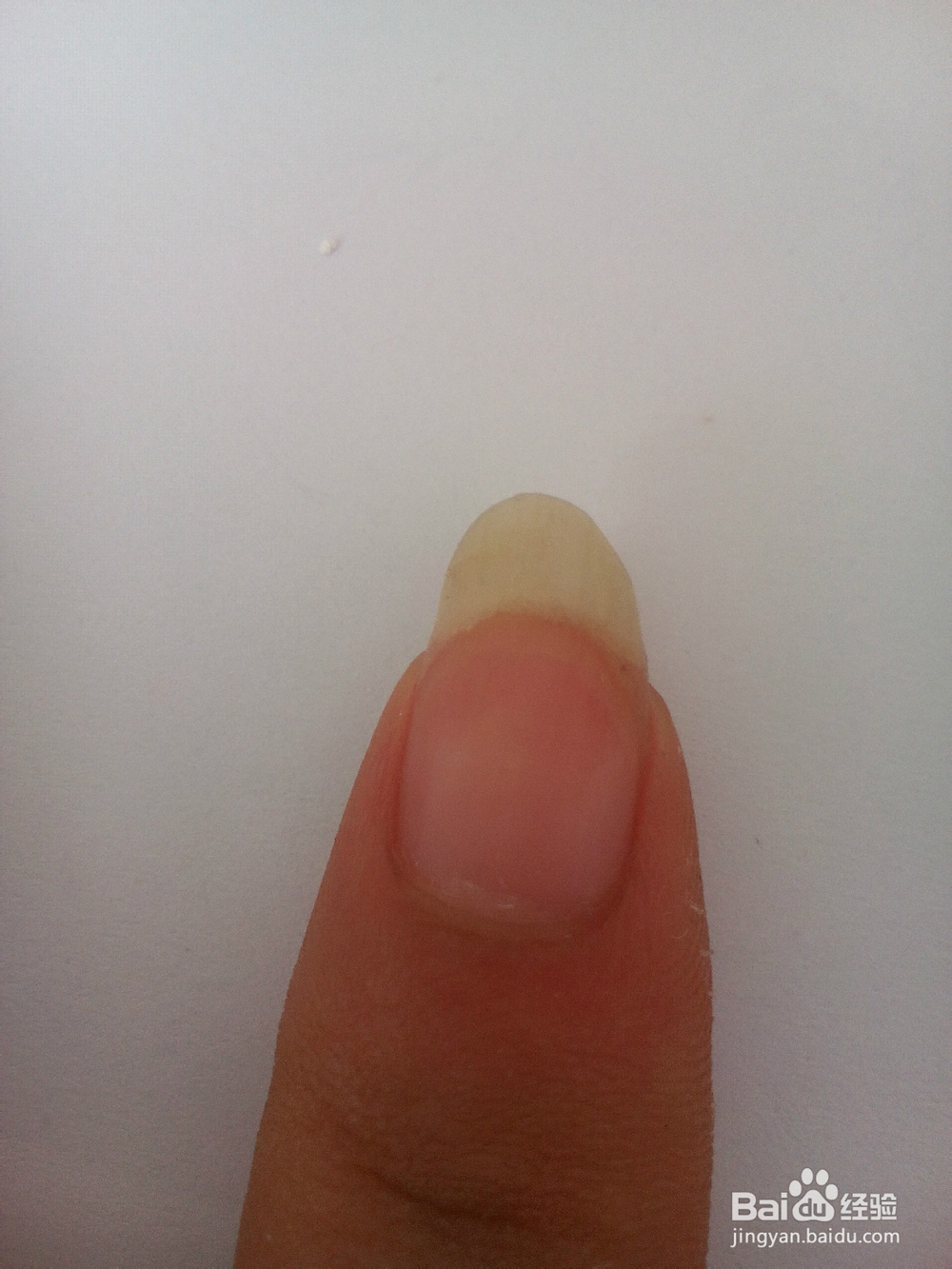 水果盛宴西瓜美甲