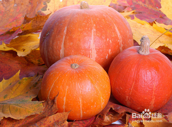 精致生活，午餐便当这样做！