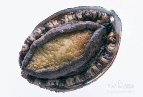 鲍鱼煮多长时间能煮熟