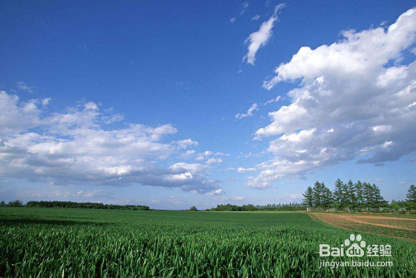 怎样在ps中修改蓝天和白云的颜色