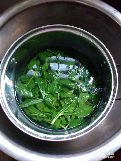 野苦菜的做法 百度经验 野苦菜的做法 百度经验