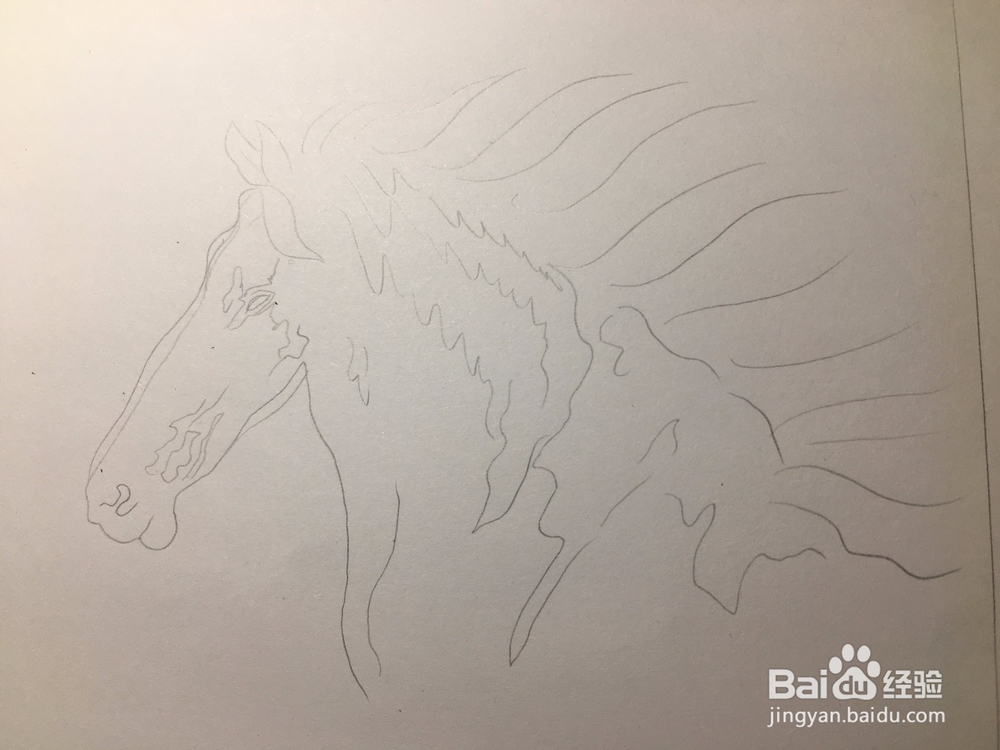 马的简笔画 马的抽象线描画