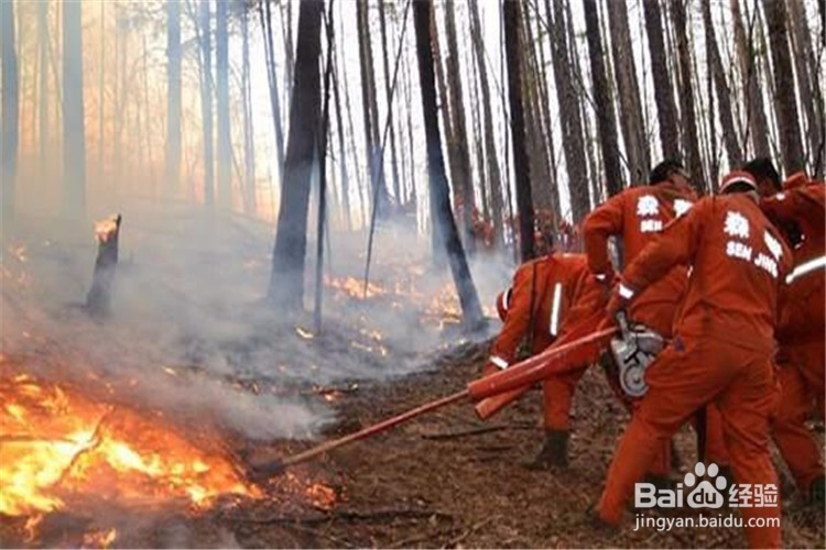 遇森林火灾如何逃生