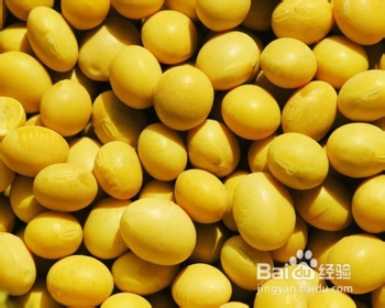 怎样饮食可以有益于老年抑郁患者