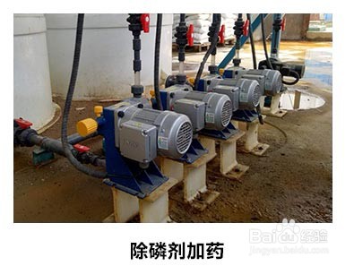 化学药剂泵的选型步骤是什么？