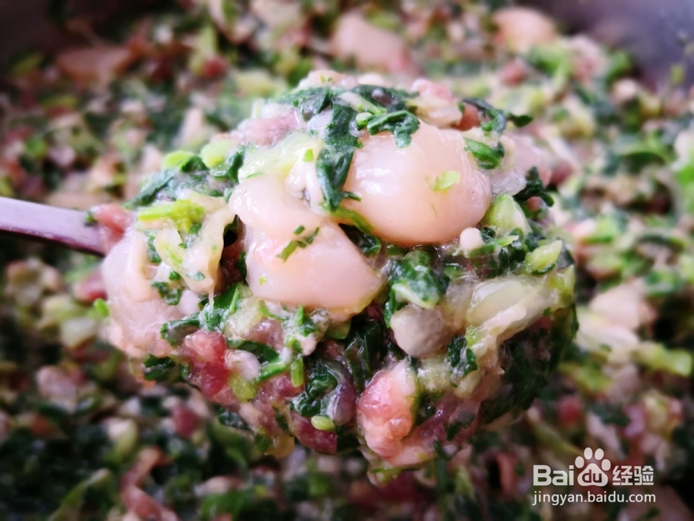 毫无压力做鱼汤菜肉鲜贝馄饨