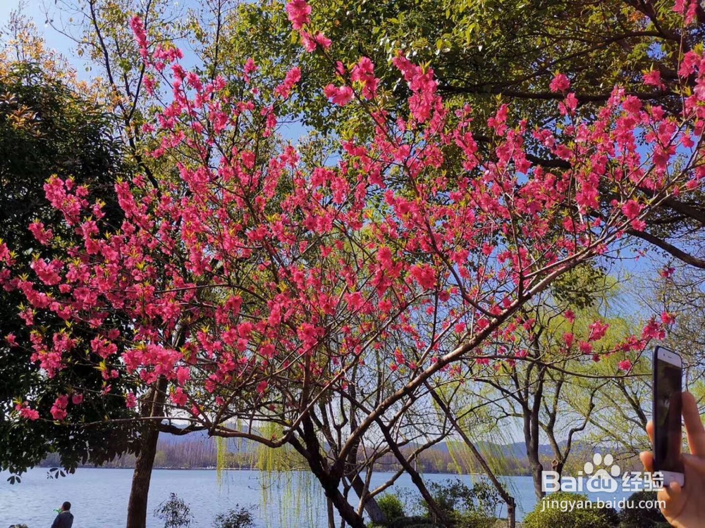 怎样在职场提高领导力