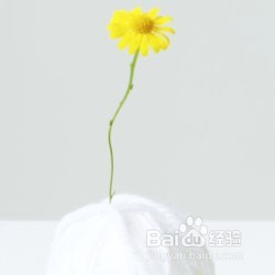 如何成就最优秀的自己