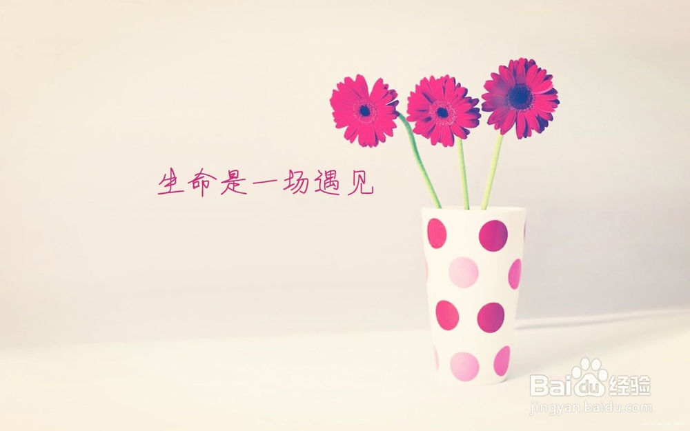 恋爱中的女人为什么智商都为0