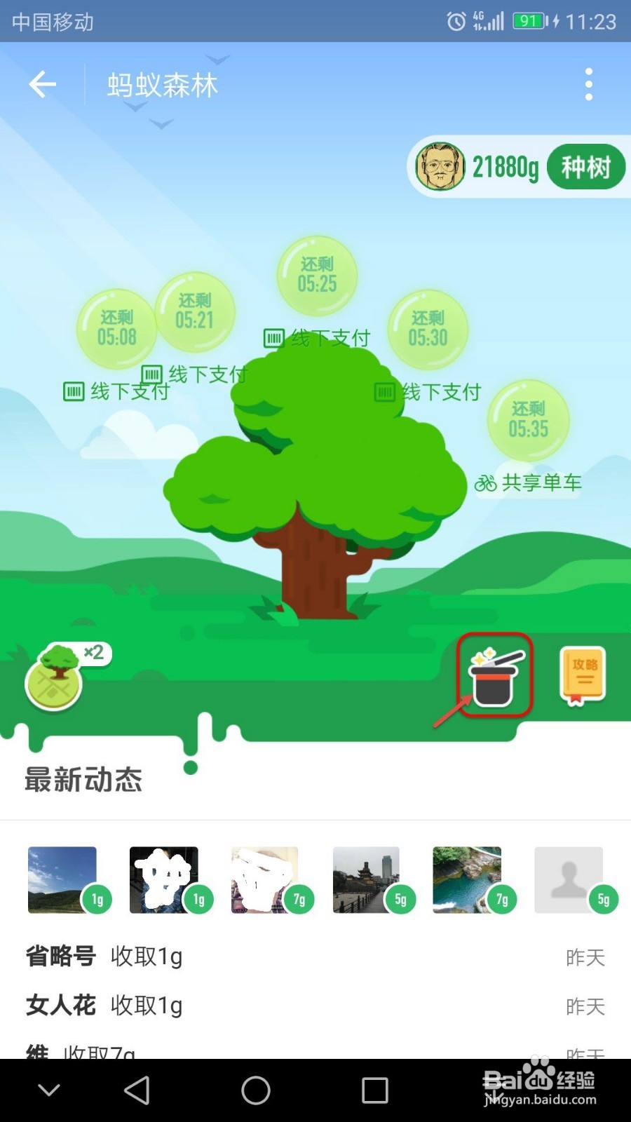 如何用保护罩来保护蚂蚁森林能量