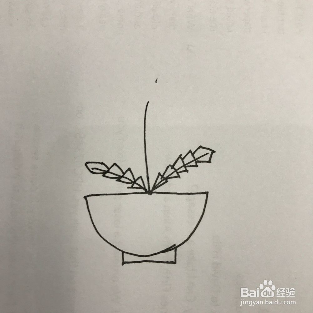 如何画好小清新蒲公英