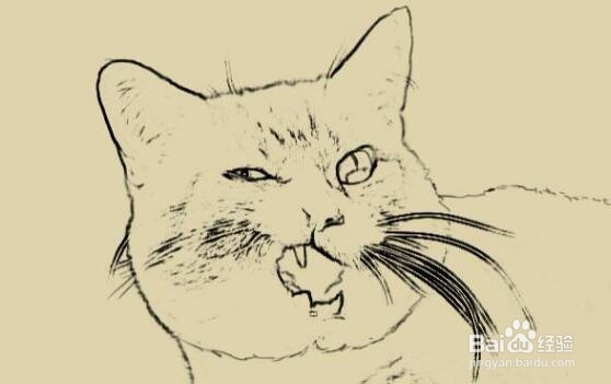 如何从彩色照片中提取它的黑白线稿