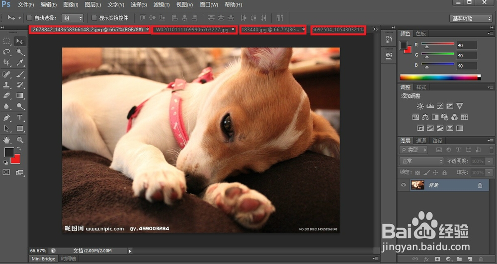 ps如何切换操作图象
