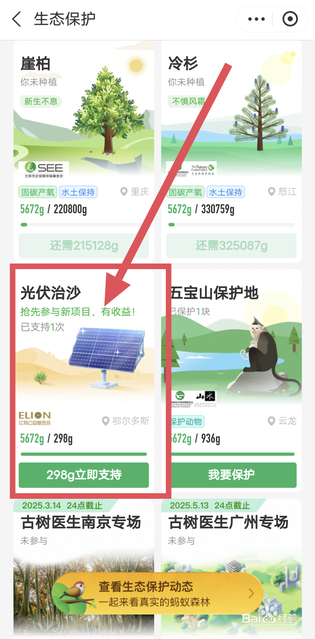 蚂蚁森林怎么获得现金红包