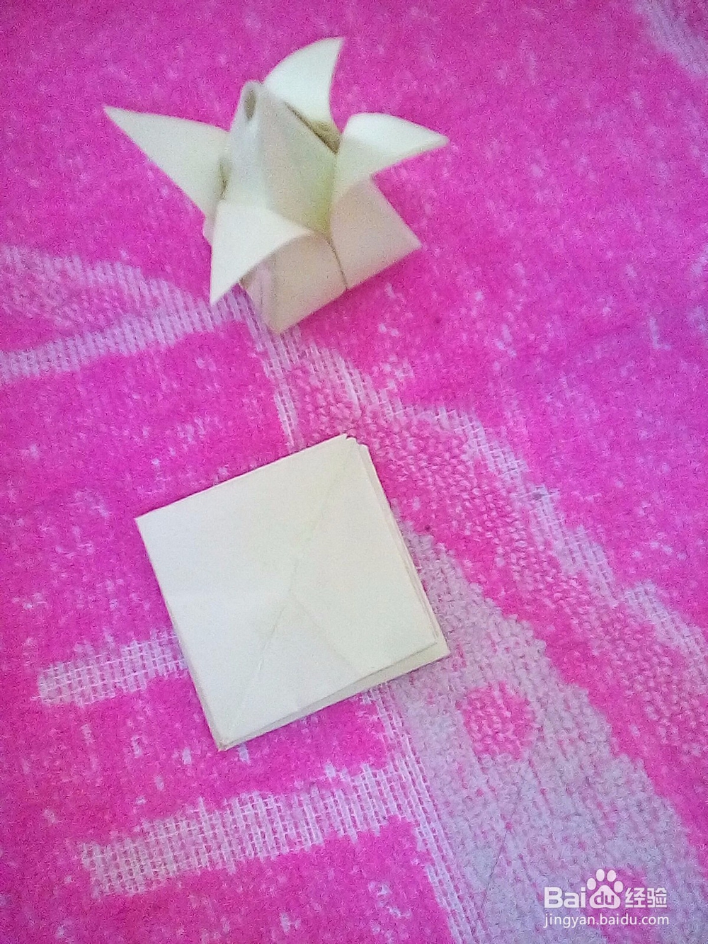 怎么折郁金香