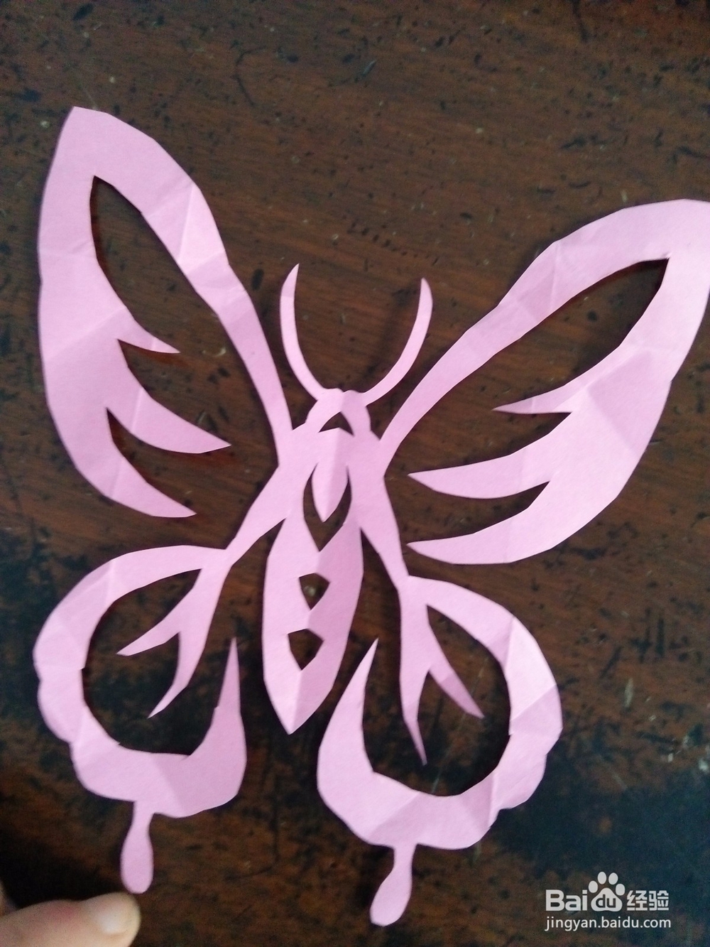 蝴蝶剪纸怎么剪（二）