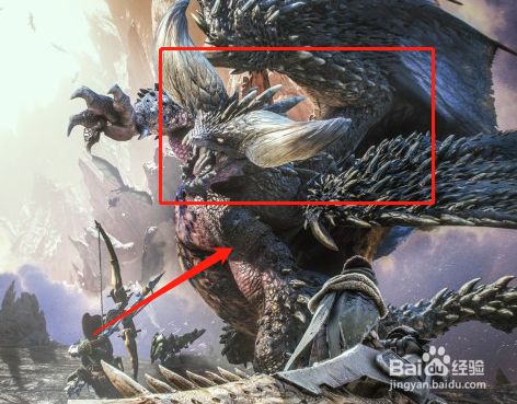 坚龙骨哪里出 百度经验