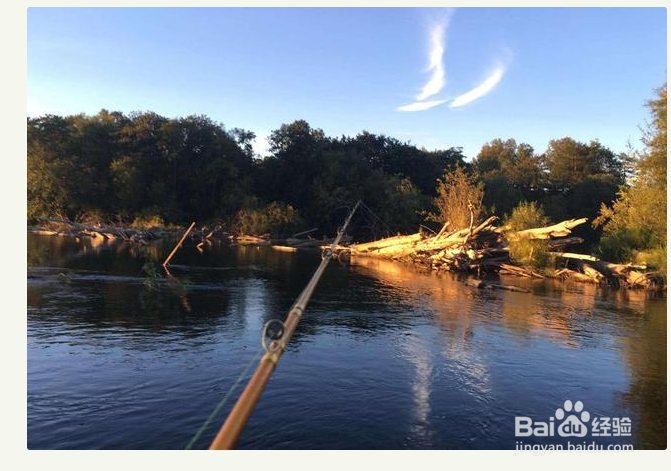 怎样知道大鱼进窝