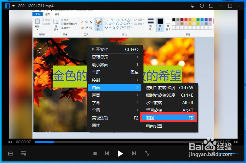 怎么对视频某一画面进行完整截图