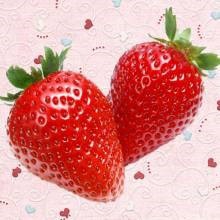 怎样教宝宝识事物