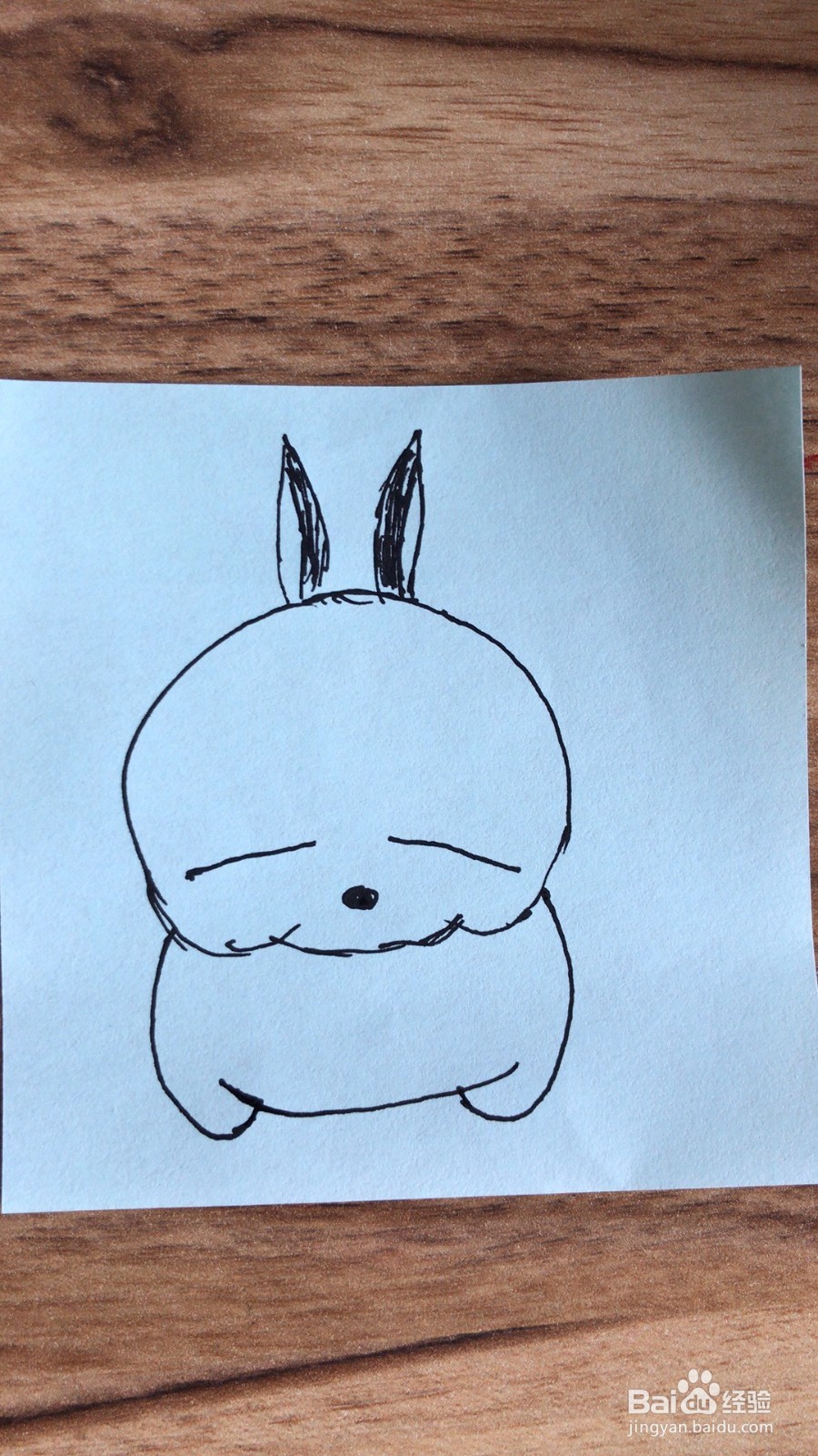 简笔画之流氓兔的画法