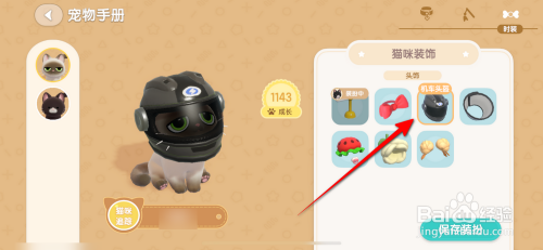 心动小镇猫咪如何装扮机车头盔