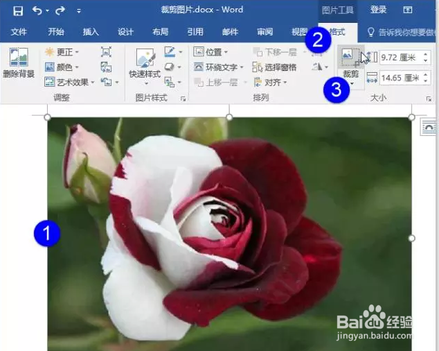 没有ps怎么办Word也能修图！