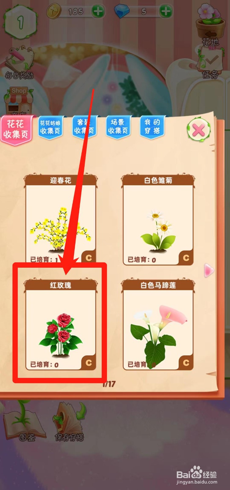 花花姑娘之魔法花园如何查看红玫瑰简介