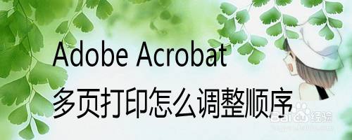 Adobe Acrobat多页打印怎么调整顺序