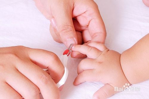 如何给宝宝剪指甲？