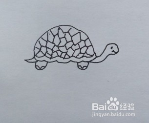 <b>简笔画：乌龟</b>