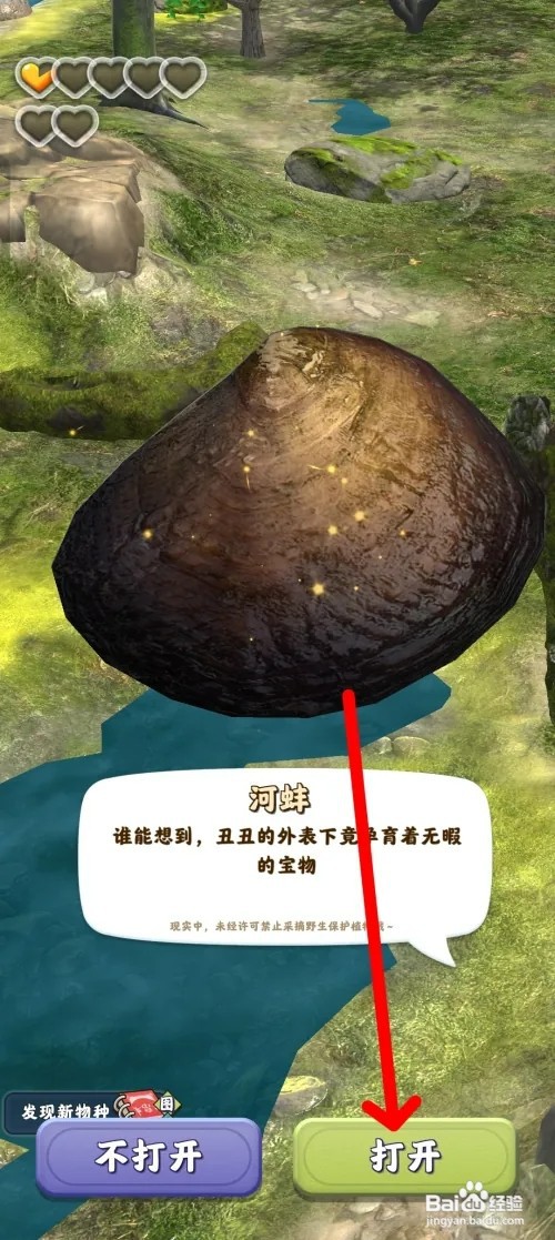 夺笋高手怎样获得巴洛克珍珠
