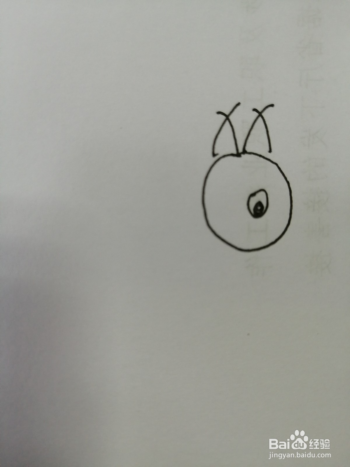 简笔画小松鼠怎么画