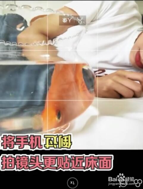 教你用手机和金鱼缸拍出创意大片
