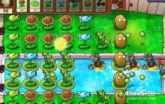 植物大战僵尸泳池2-4关攻略