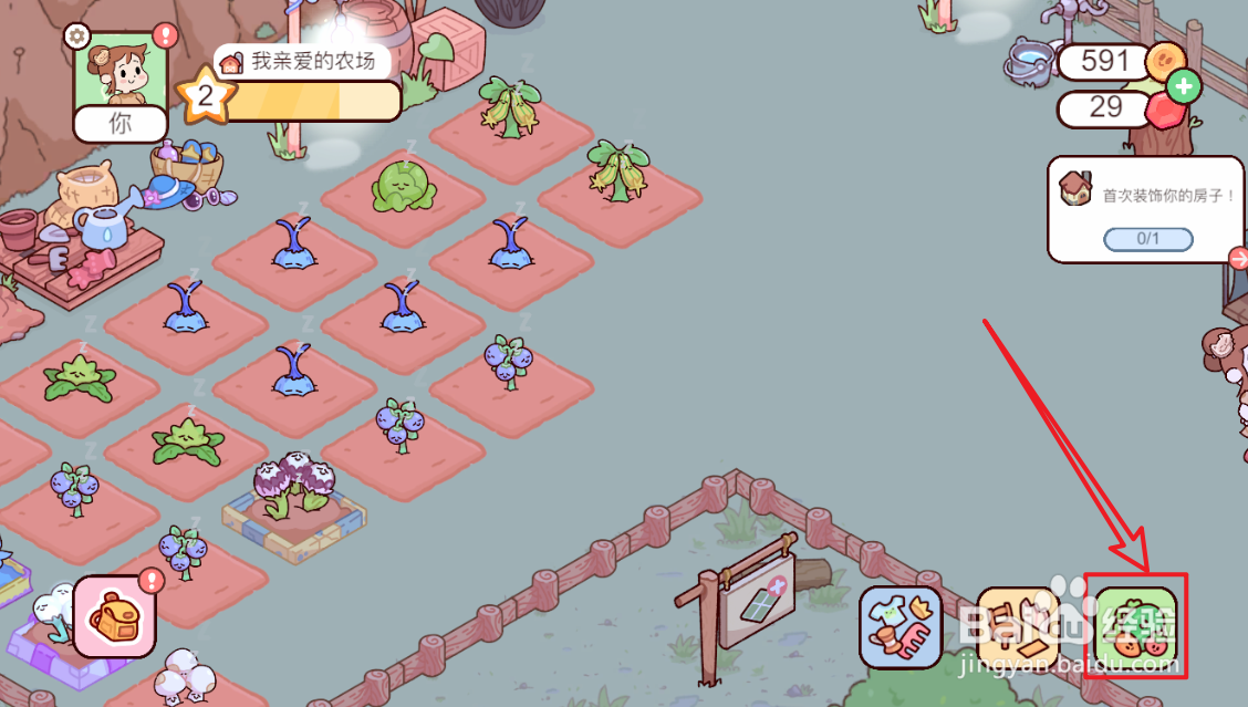 我亲爱的农场魔鬼莓种子怎么购买