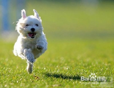 春季养生三重点