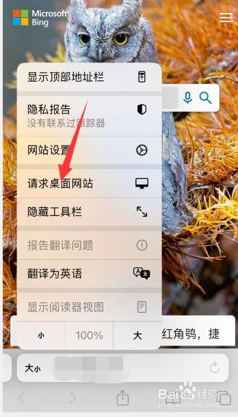 苹果手机怎么设置电脑版浏览器