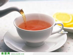 去脂葡萄柚瘦身茶