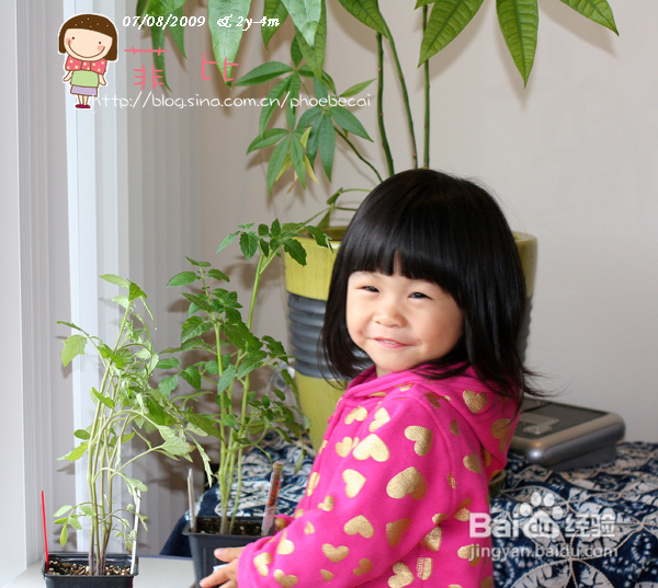 菲比的小菜苗和小花（组图）