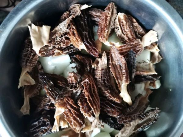 羊肚菌冬瓜炖排骨