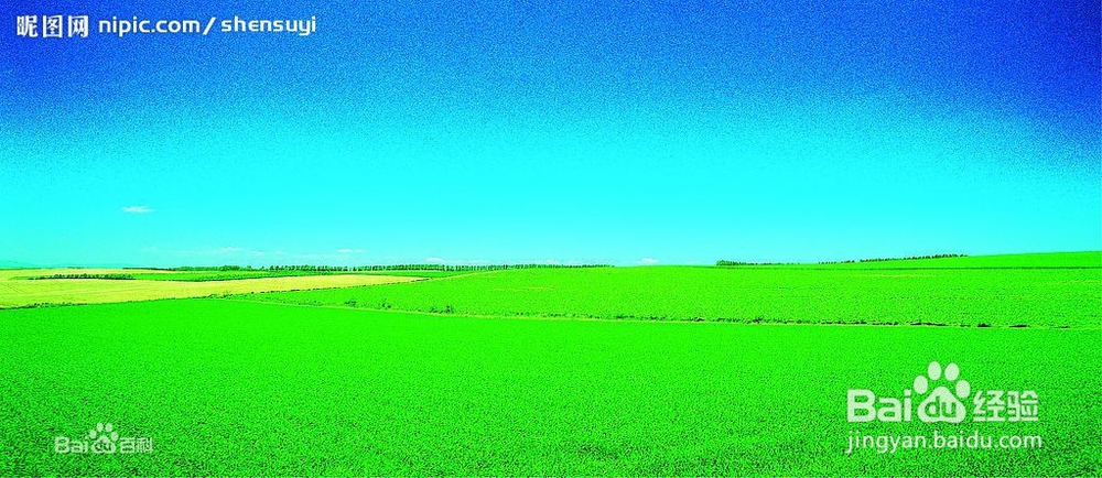 常见的6种图片格式