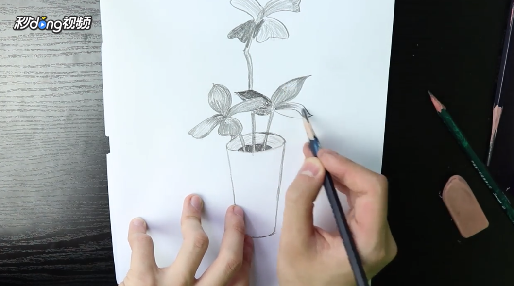 素描四叶草怎么画