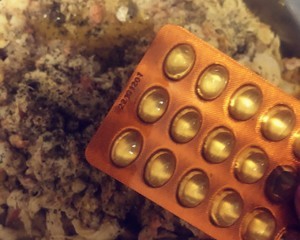 挑嘴猫咪都爱的辅食，三种鱼鸡肉猫罐头