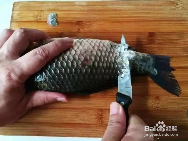 怎么刮鱼鳞最方便实用