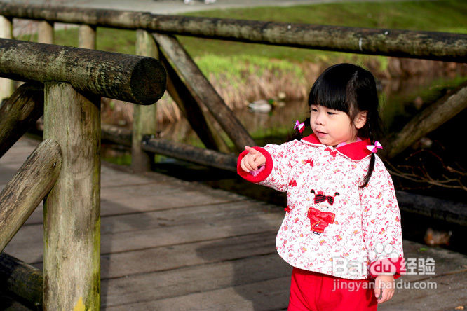 棒棒糖女孩和温哥华绿头鸭(组图)
